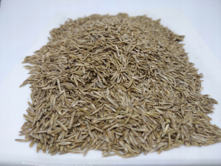 Tráva pre tienisté plochy, záhrada, pastviny, Poľnohospodárska farma Pawłowski Edward 1000 m² 20 kg